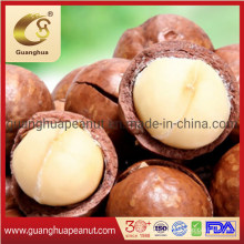 High Grade Macadamia Nuts Healthy Snacks